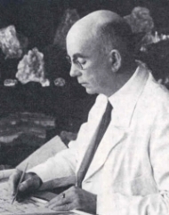 afbeelding van Buijs, Jan Willem Eduard