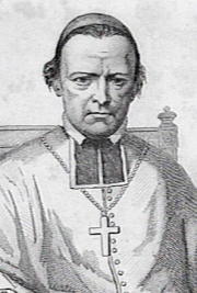 afbeelding van Paredis, Joannes Augustinus