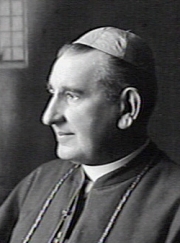 afbeelding van Aengenent, Johannes Dominicus Josephus