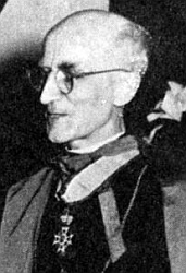 afbeelding van Willekens, Petrus Johannes